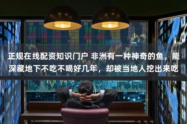 正规在线配资知识门户 非洲有一种神奇的鱼，能深藏地下不吃不喝好几年，却被当地人挖出来吃