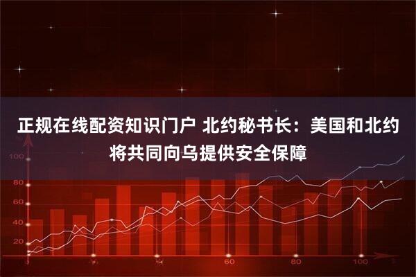 正规在线配资知识门户 北约秘书长：美国和北约将共同向乌提供安全保障