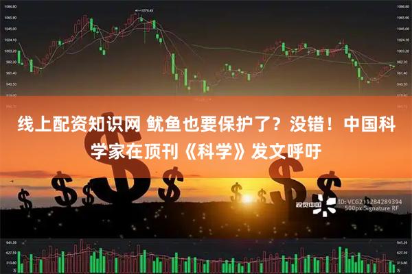 线上配资知识网 鱿鱼也要保护了？没错！中国科学家在顶刊《科学》发文呼吁