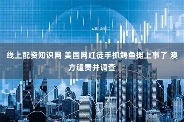 线上配资知识网 美国网红徒手抓鳄鱼摊上事了 澳方谴责并调查