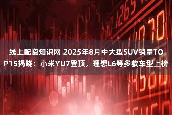 线上配资知识网 2025年8月中大型SUV销量TOP15揭晓：小米YU7登顶，理想L6等多款车型上榜