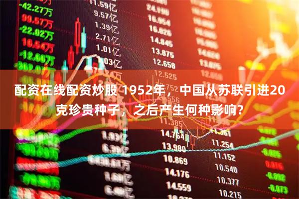 配资在线配资炒股 1952年，中国从苏联引进20克珍贵种子，之后产生何种影响？